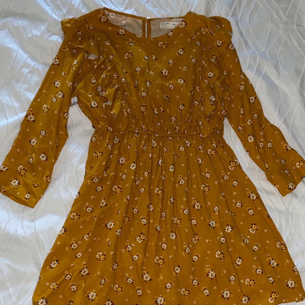 Zara dress
